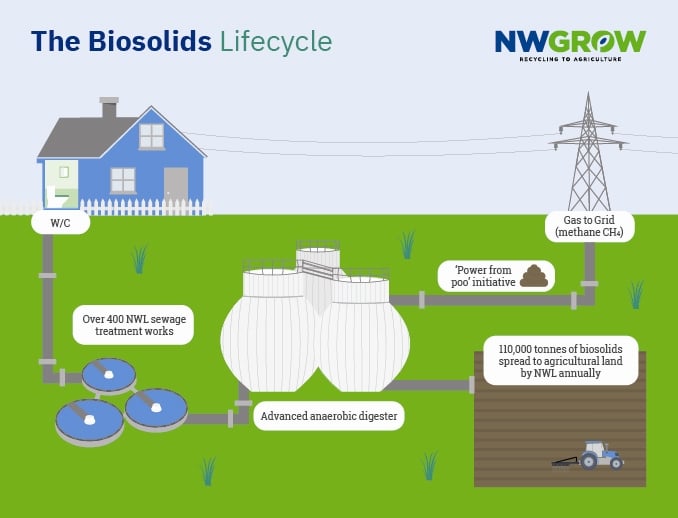 illustration of biosolids lifecycle