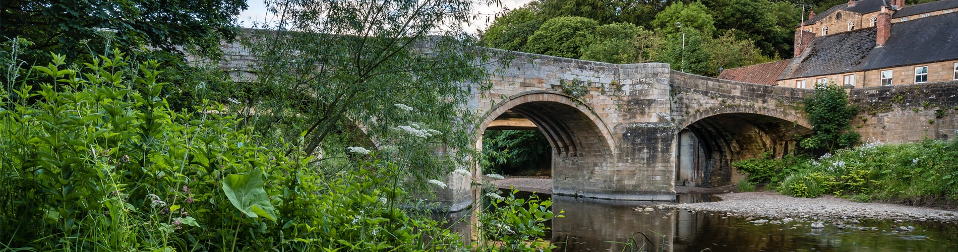 bridge over river in Felton