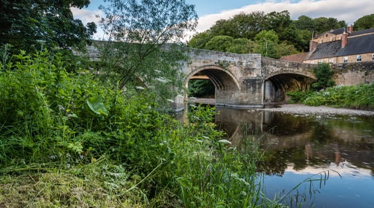 bridge over river in Felton